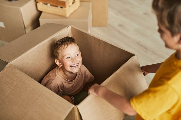 Simplifiez votre vie avec une grande boîte en carton organisée